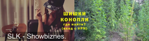 гашик Касимов