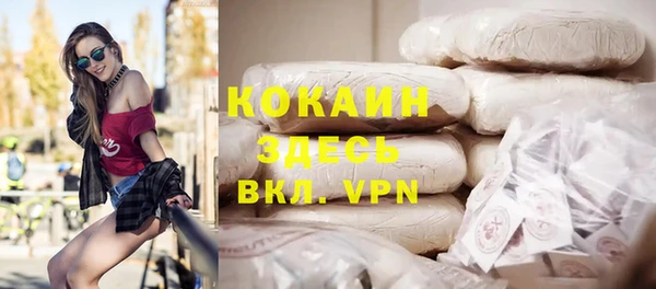гашик Касимов