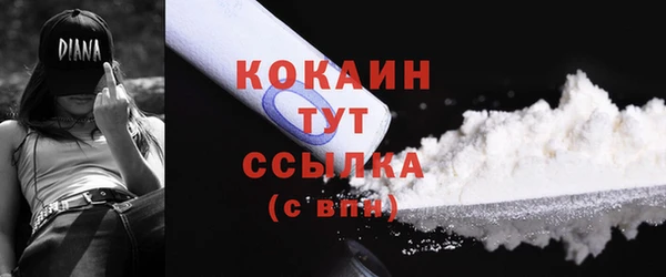мет Карпинск
