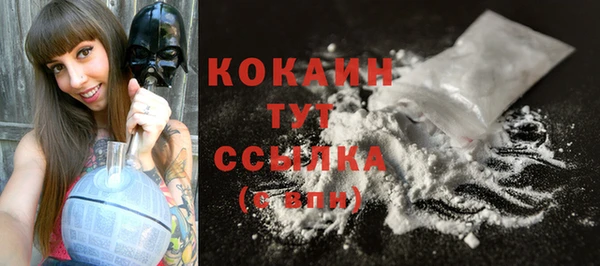 гашик Касимов
